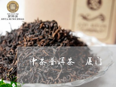 中茶普洱茶 厦门/2023031782616